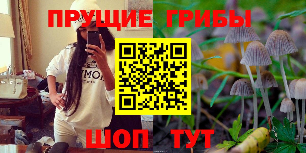 цена   Вход с VPN  Алатырь  Псилоцибиновые грибы мицелий 